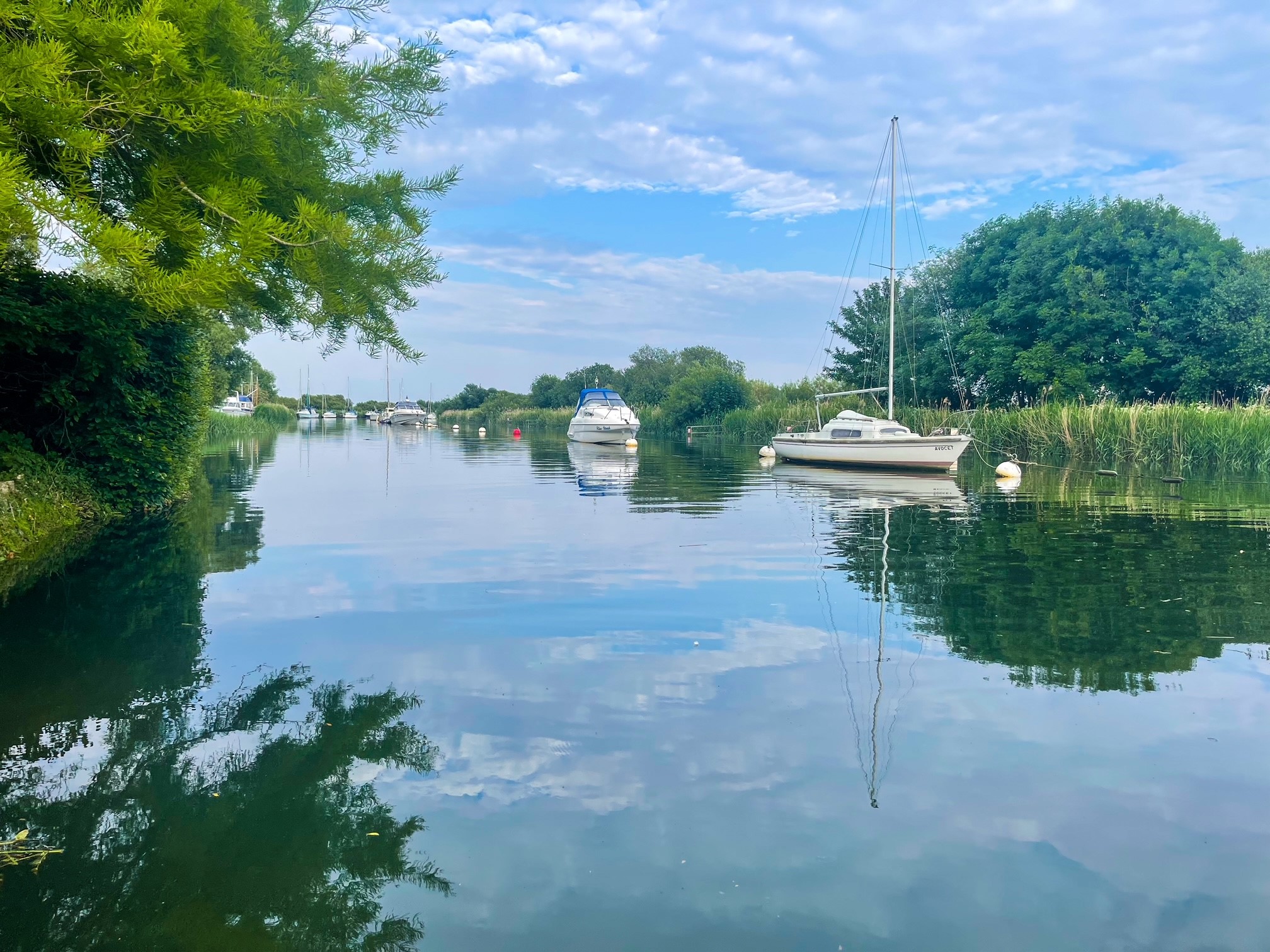 Wareham
